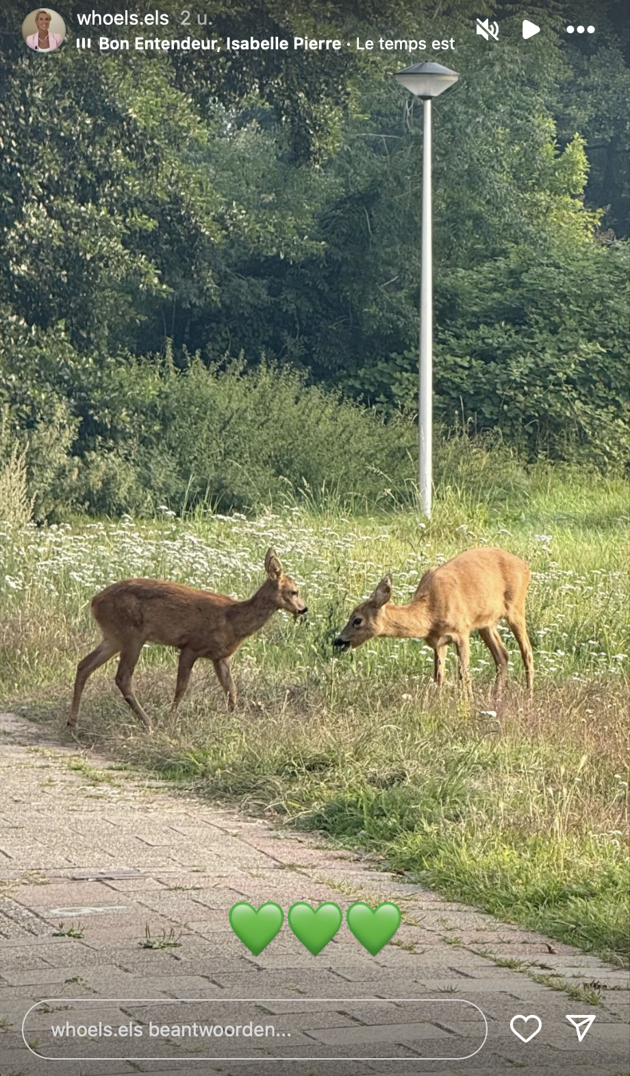 Els ging lekker wandelen